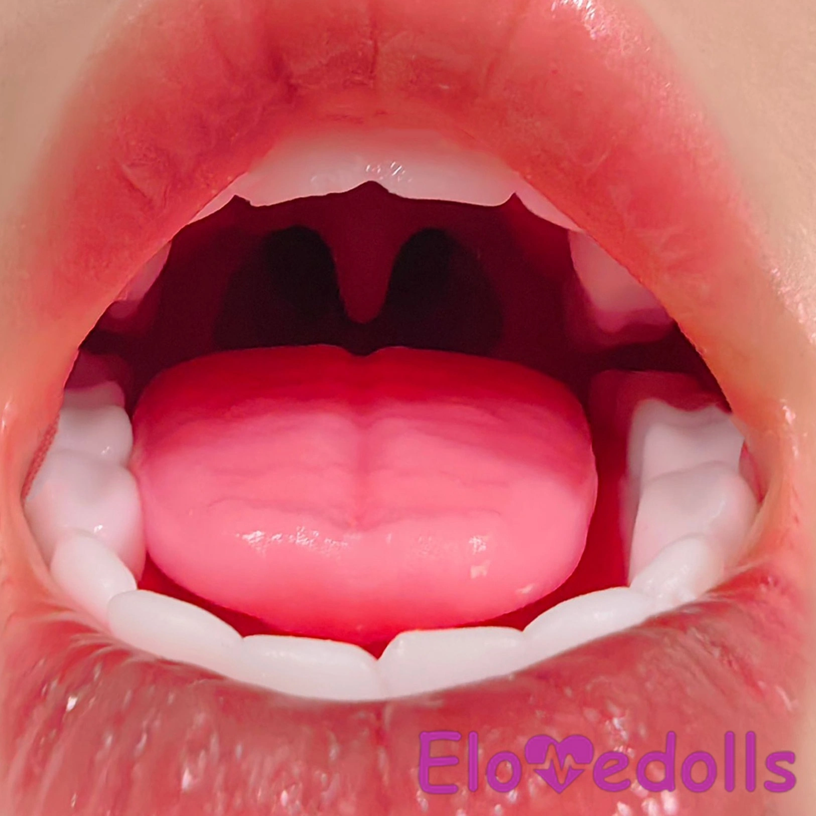 ROS realistic oral structure mouth